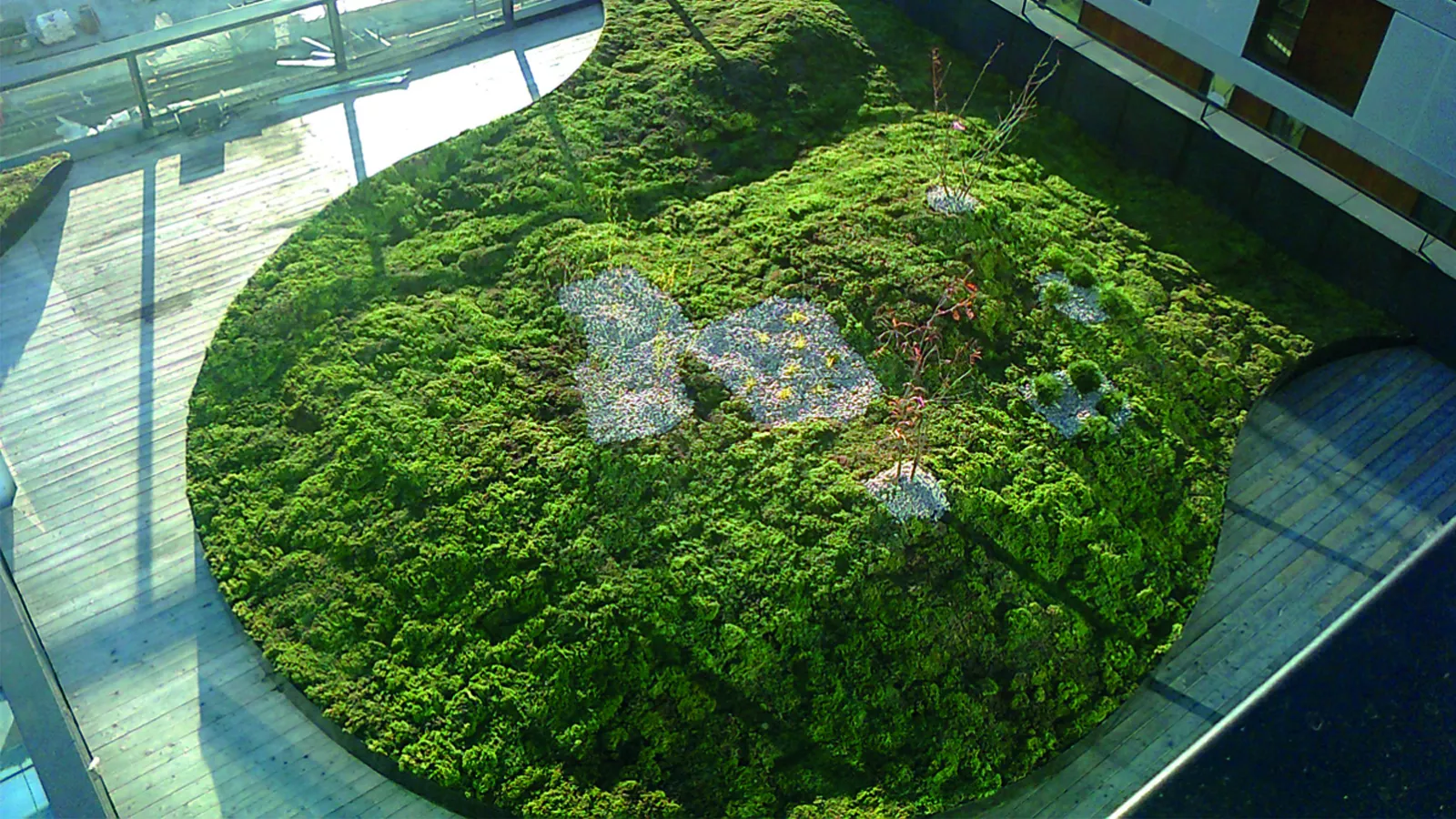 Leca_viherkatto_Oslo (2)